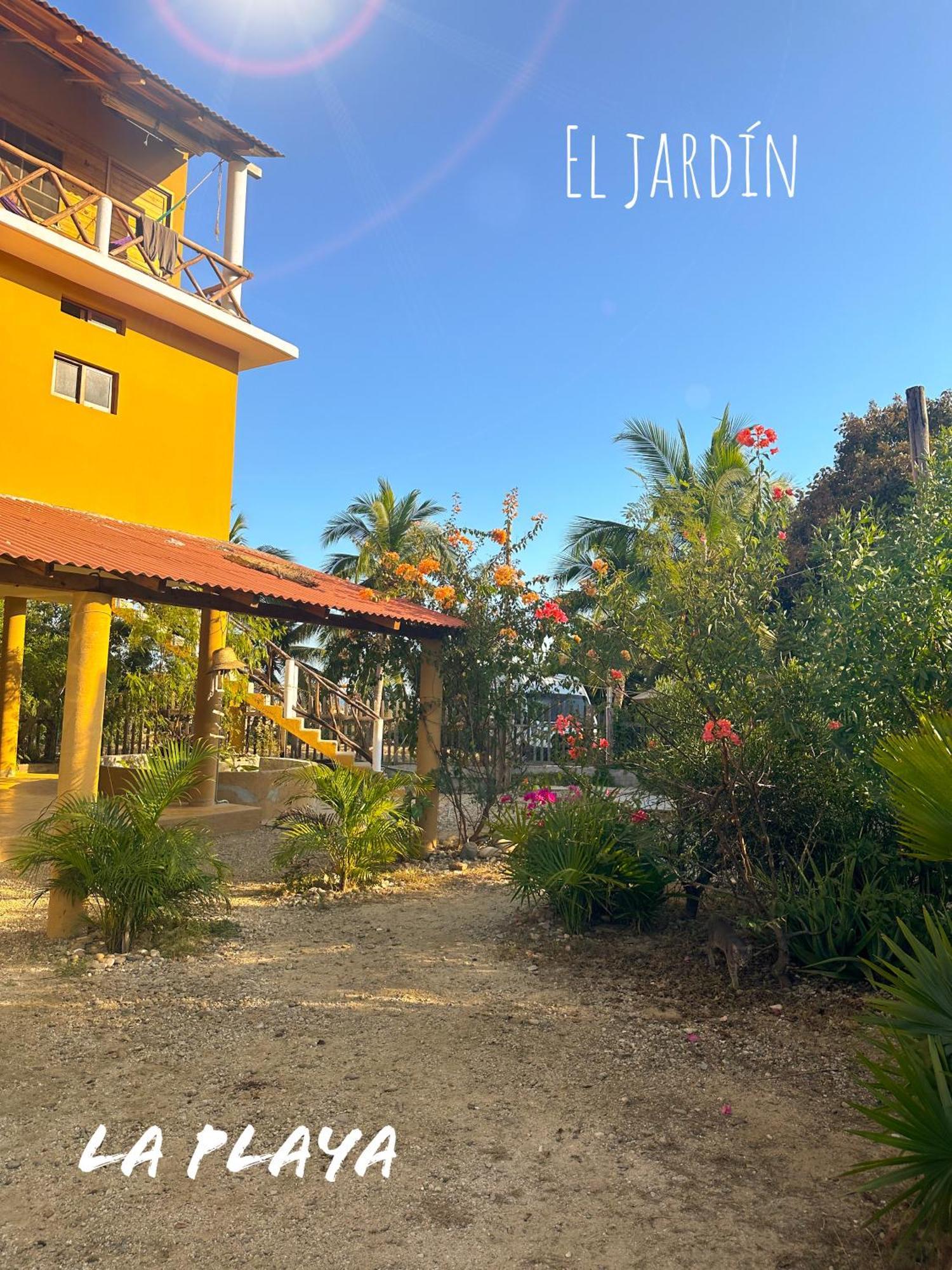 Hotel La Playa マスンテ エクステリア 写真