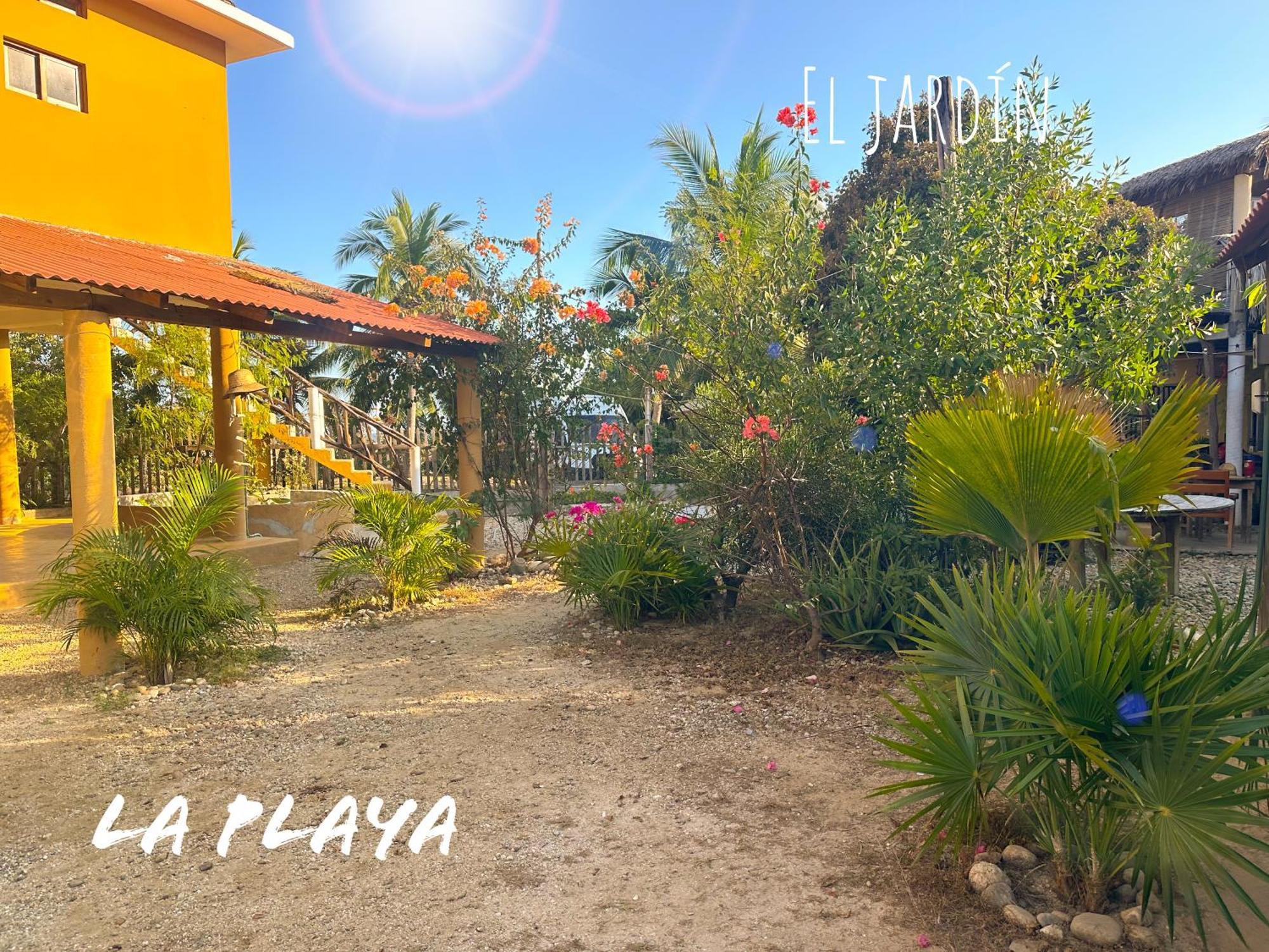 Hotel La Playa マスンテ エクステリア 写真