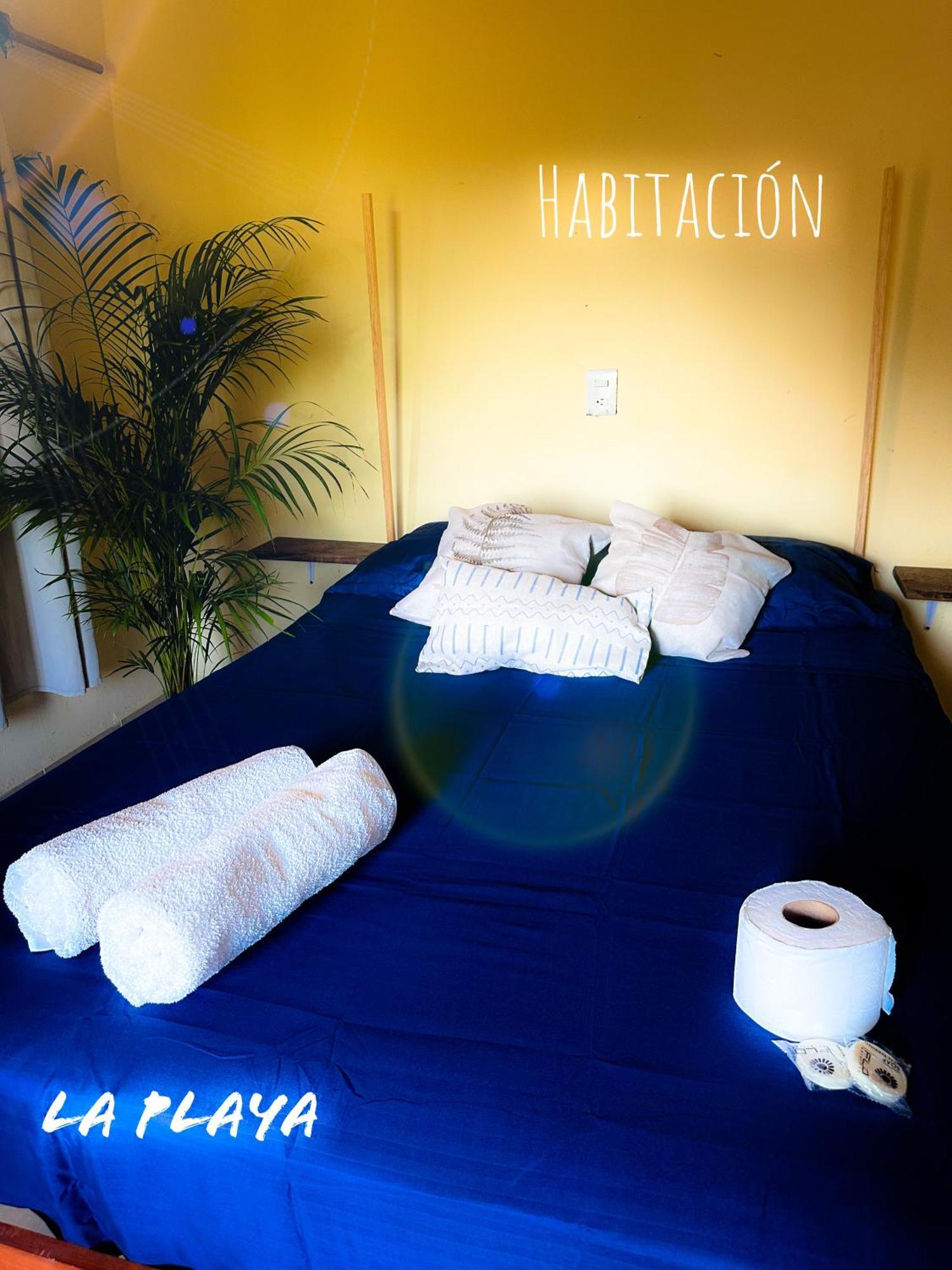 Hotel La Playa マスンテ エクステリア 写真